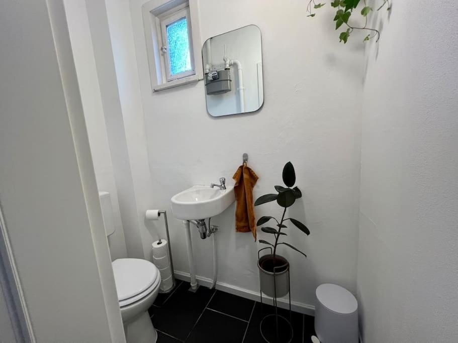 Gemuetliche Altbauwohnung In Rt-betzingen